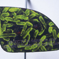Bacteria_thumb