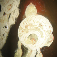 Josephine%20detail_thumb