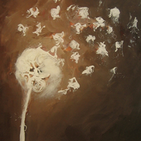 White%20dove%20sail_thumb